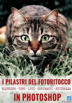 MGDF120-corso-Photoshop-Pilastri-Fotoritocco